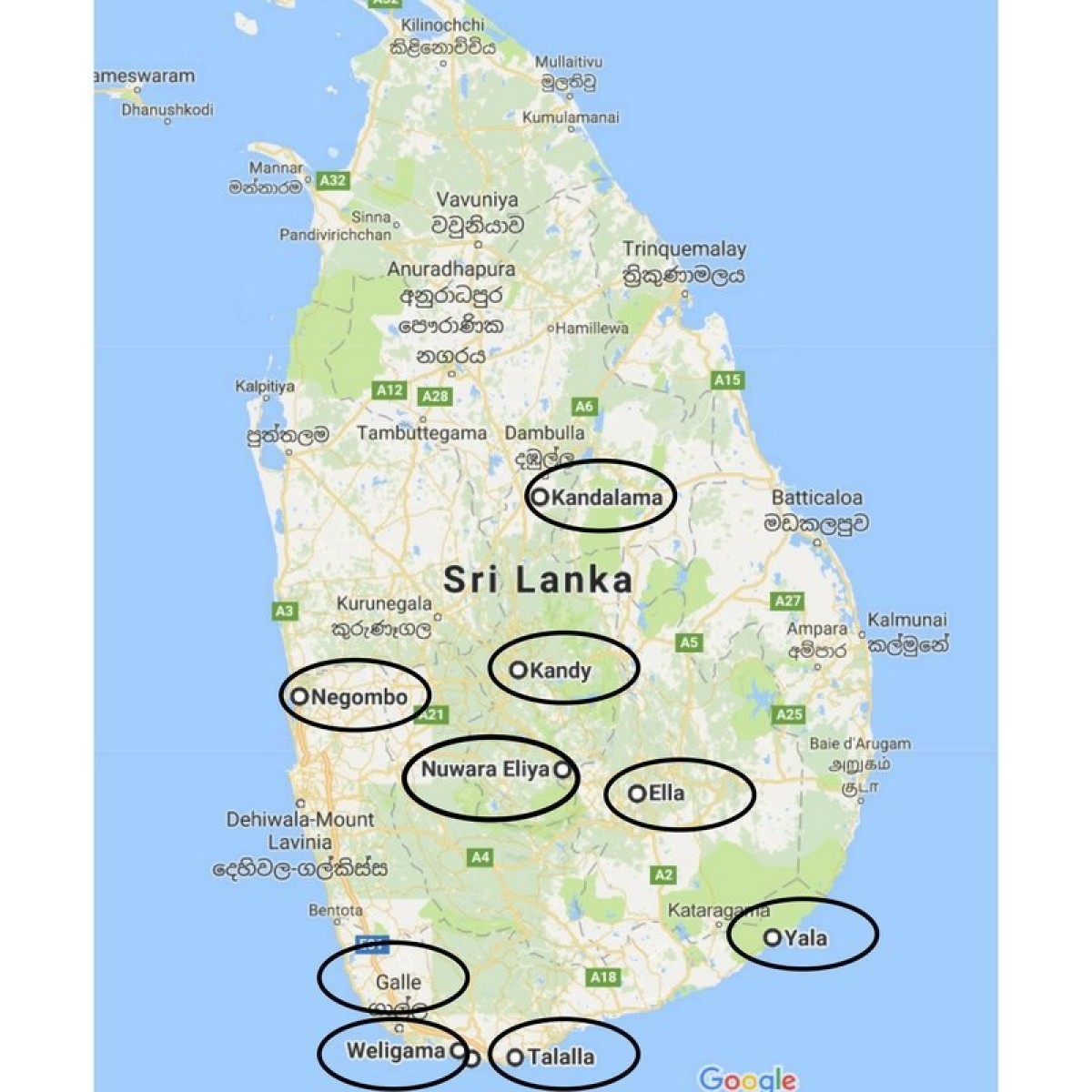 Voyage de noces au Sri Lanka