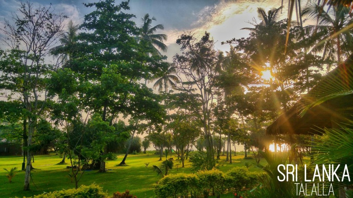 Voyage de noces au Sri Lanka