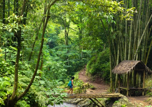 Les plus beaux treks à Bali : partez en randonnée à travers les rizières et les volcans