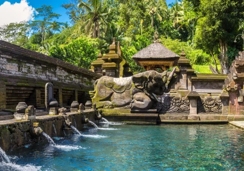 De l'aventure à la sérénité : explorez l'essence de Bali