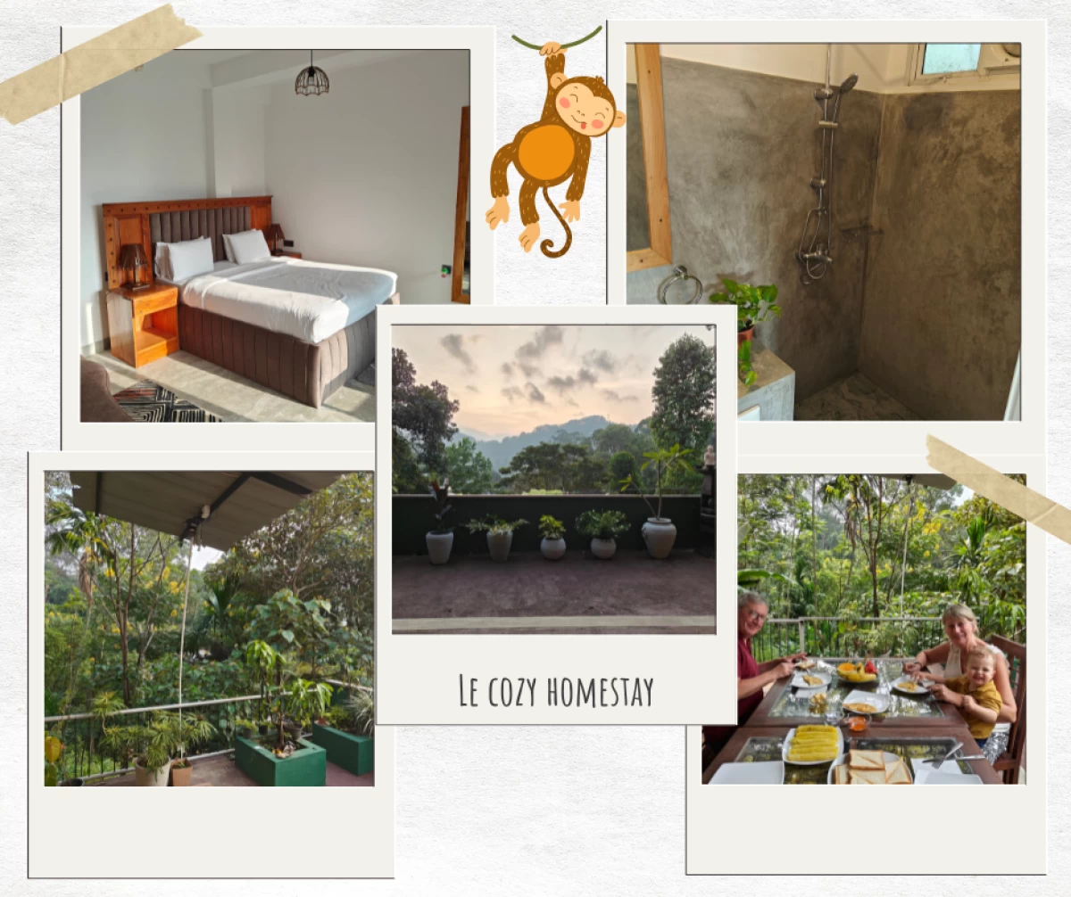 Cozy homestay ella