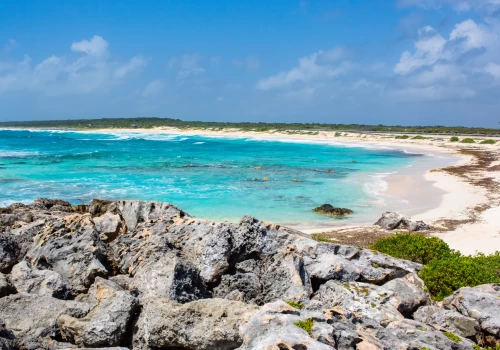 Visiter Cozumel pendant votre séjour au Mexique