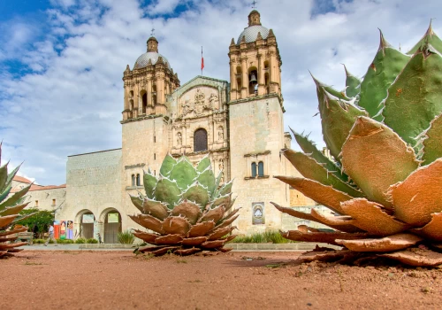 Réussir son voyage à Oaxaca au Mexique