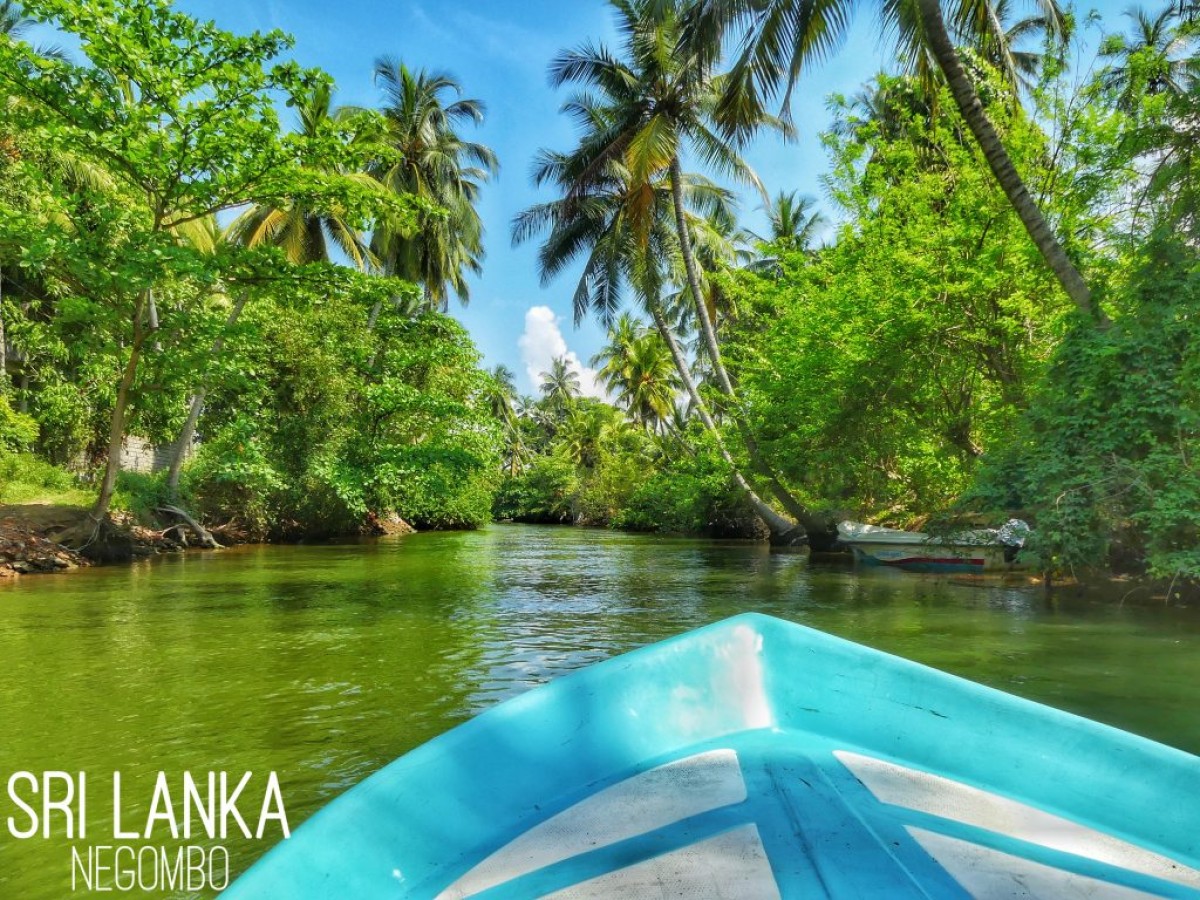 Voyage de noces au Sri Lanka
