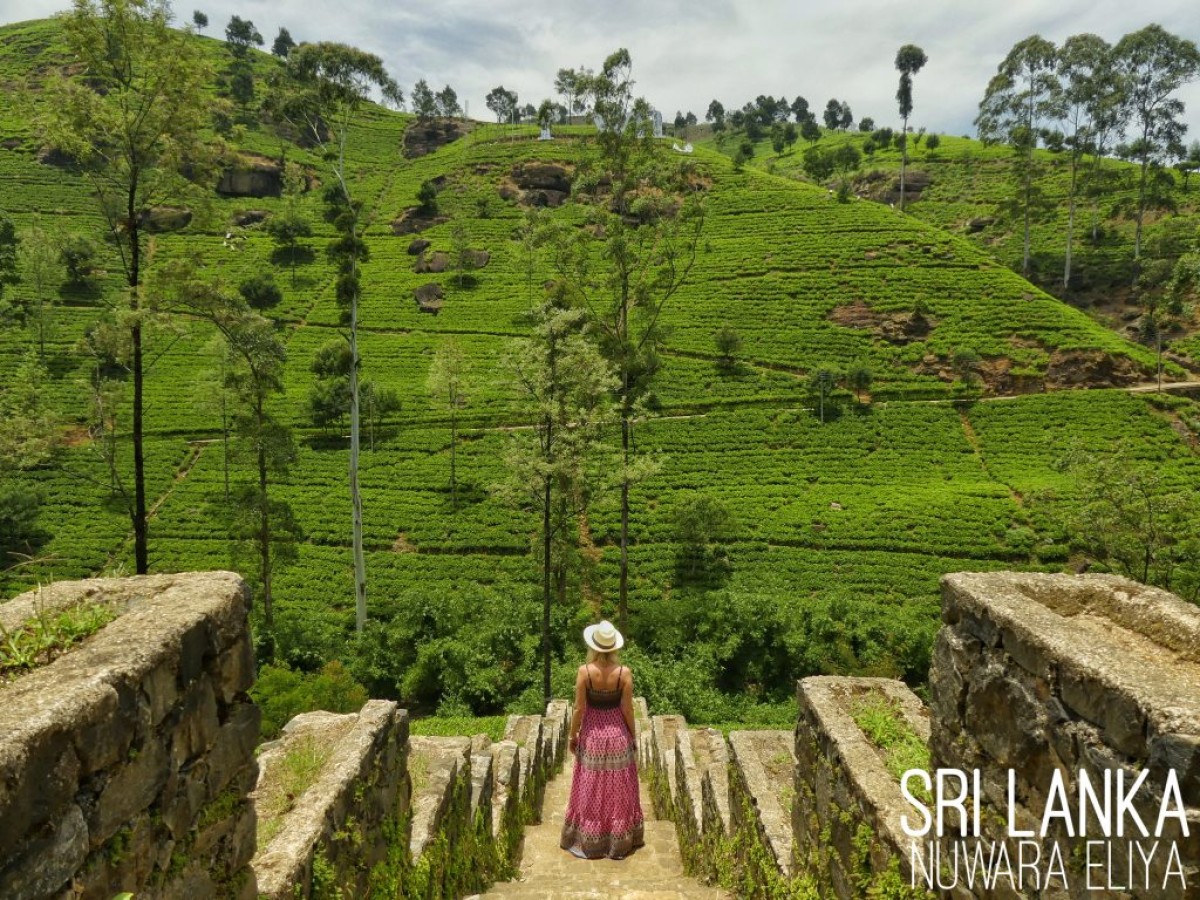 Voyage de noces au Sri Lanka