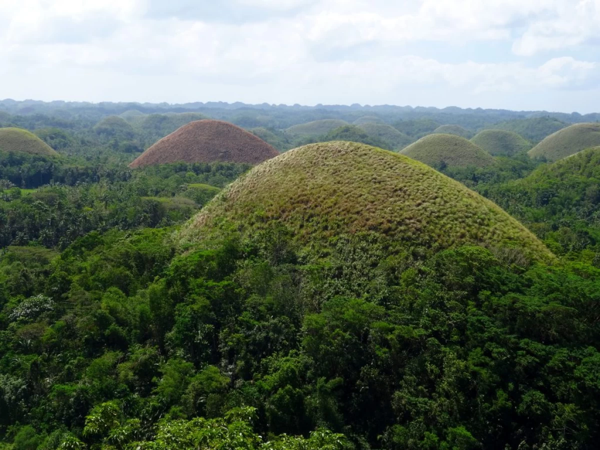 Bohol-1024x768