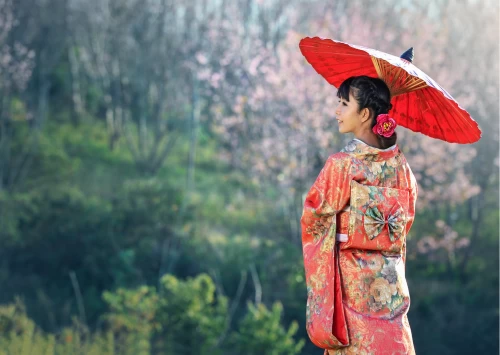 le Japon