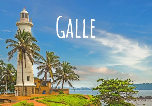 Galle