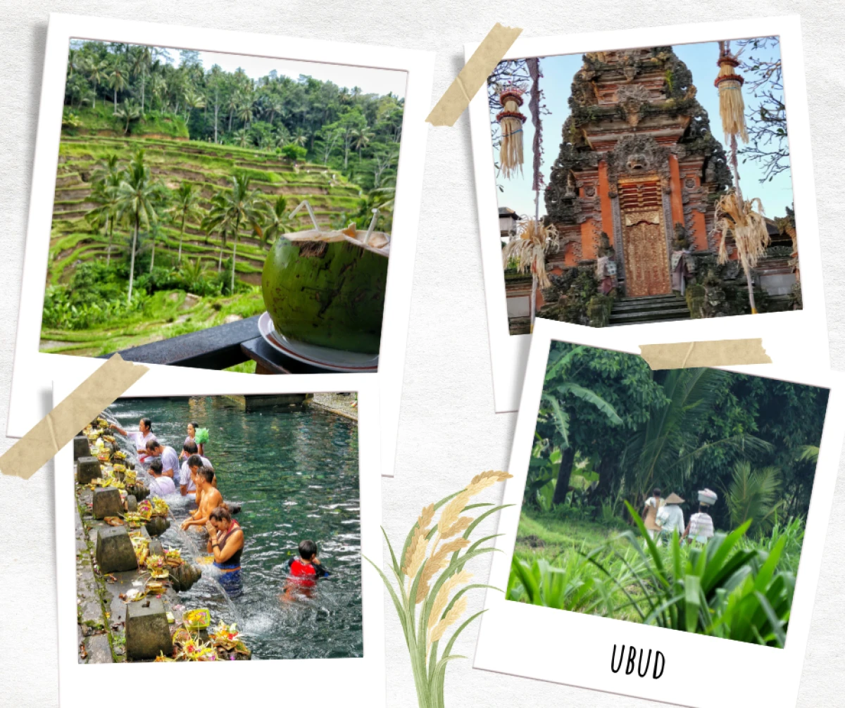 Ubud, le centre culturel et vert de Bal