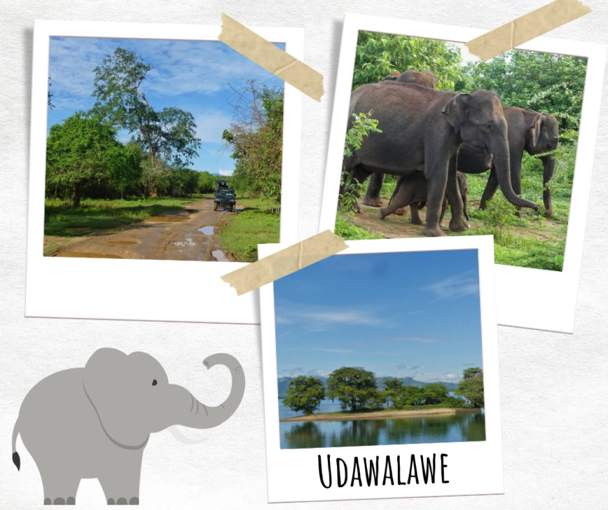 Udawalawe