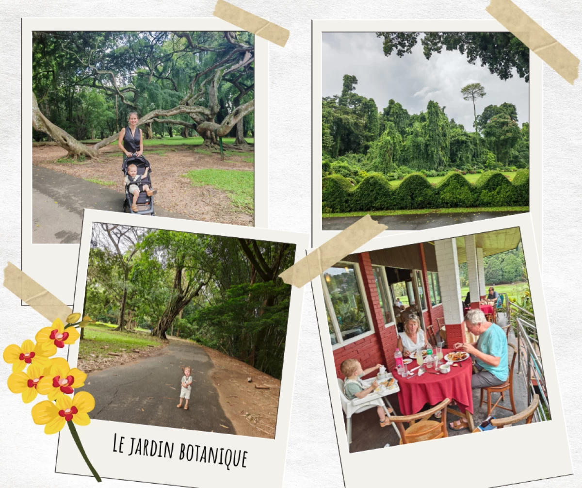 Parc Botanique Kandy