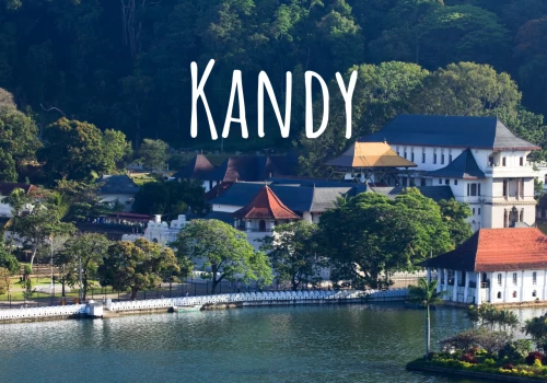 Kandy : Entre culture, montagnes, ville et culture : Une étape à ne pas manquer !